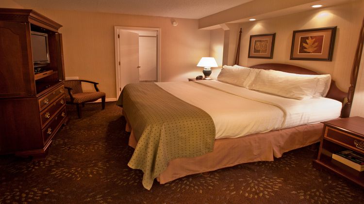 Holiday Inn Buffalo-Intl Airport , NY 14225 near Buffalo Niagara International Airport View Point 28