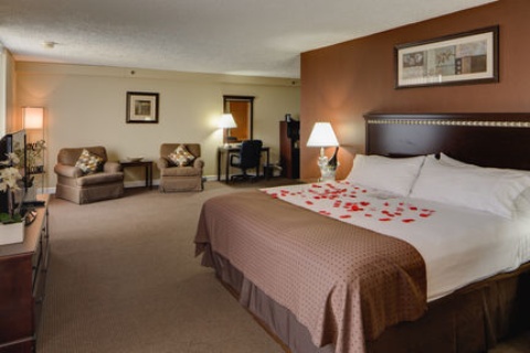 Holiday Inn Chicago SW-Countryside ConfCtr , IL 60525 near Midway International Airport View Point 38