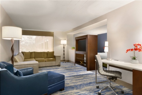 Skyline Hotel Detroit Airport, SureStay Collection by BW , MI 48174 near Detroit Metropolitan Wayne County Airport View Point 20