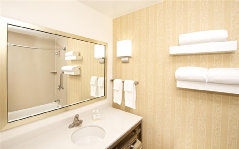Hilton Garden Inn Seattle/Renton , WA 98057 near Seattle-tacoma International Airport View Point 10