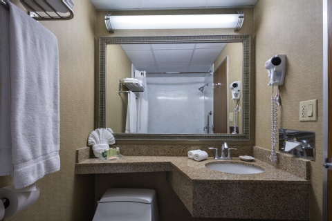 Holiday Inn New Orleans-Downtown Superdome, an IHG Hotel , LA 70112 near Louis Armstrong New Orleans International Airport  View Point 3