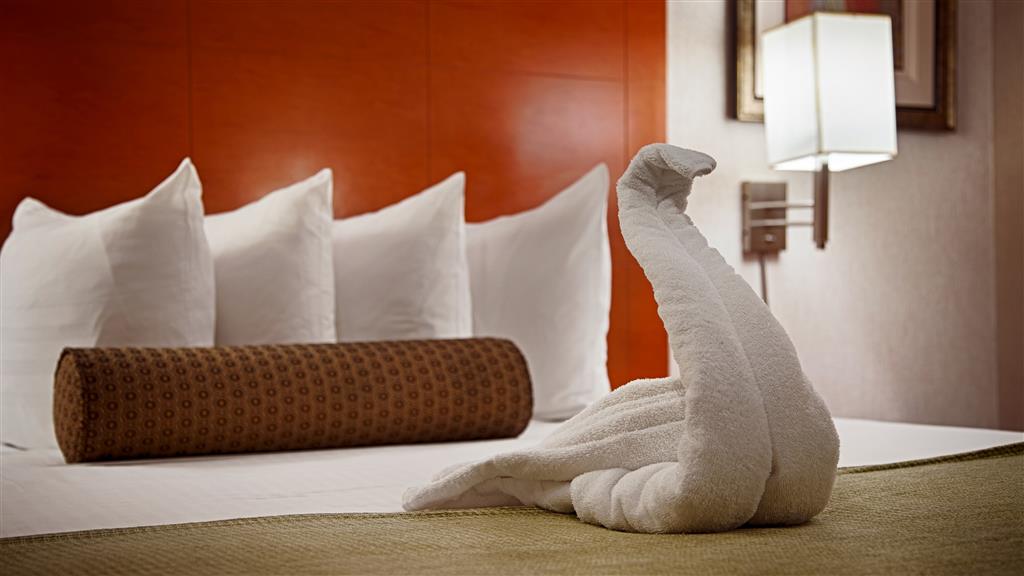 Courtyard by Marriott San Antonio Airport , TX 78217 near San Antonio International Airport View Point 120