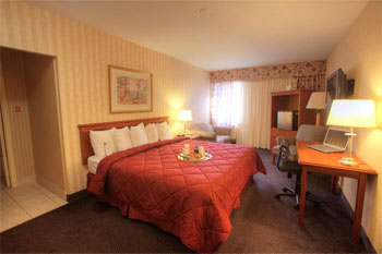 Quality Inn Toronto Airport , ON, Canada L4V 1E4 near Toronto Pearson Airport View Point 3