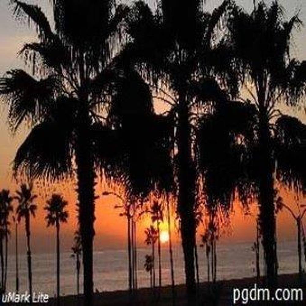 Balboa Inn 2
